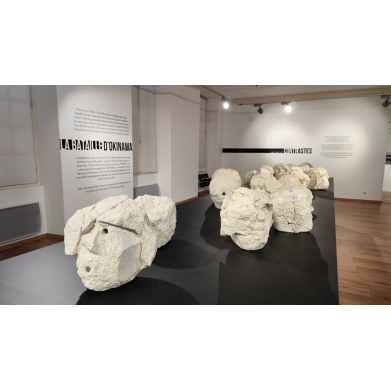 Cartels de musée (exposition PIERRE DE VOLVIC - OKINAWA ) image 3