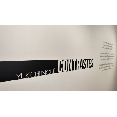 Cartels de musée (exposition PIERRE DE VOLVIC - OKINAWA ) image 5