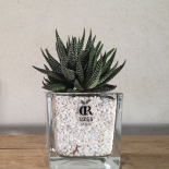 impression-stickers-produit-decalcomanie-logo-personnalisable